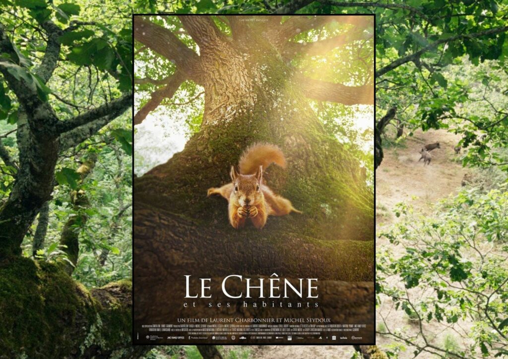 Ciné Lous Drolles Petite planète, documentary film month Côté Sud