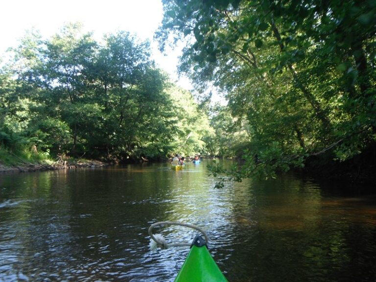 Canoë Kayak Bommes Nautique Côté Sud Gironde
