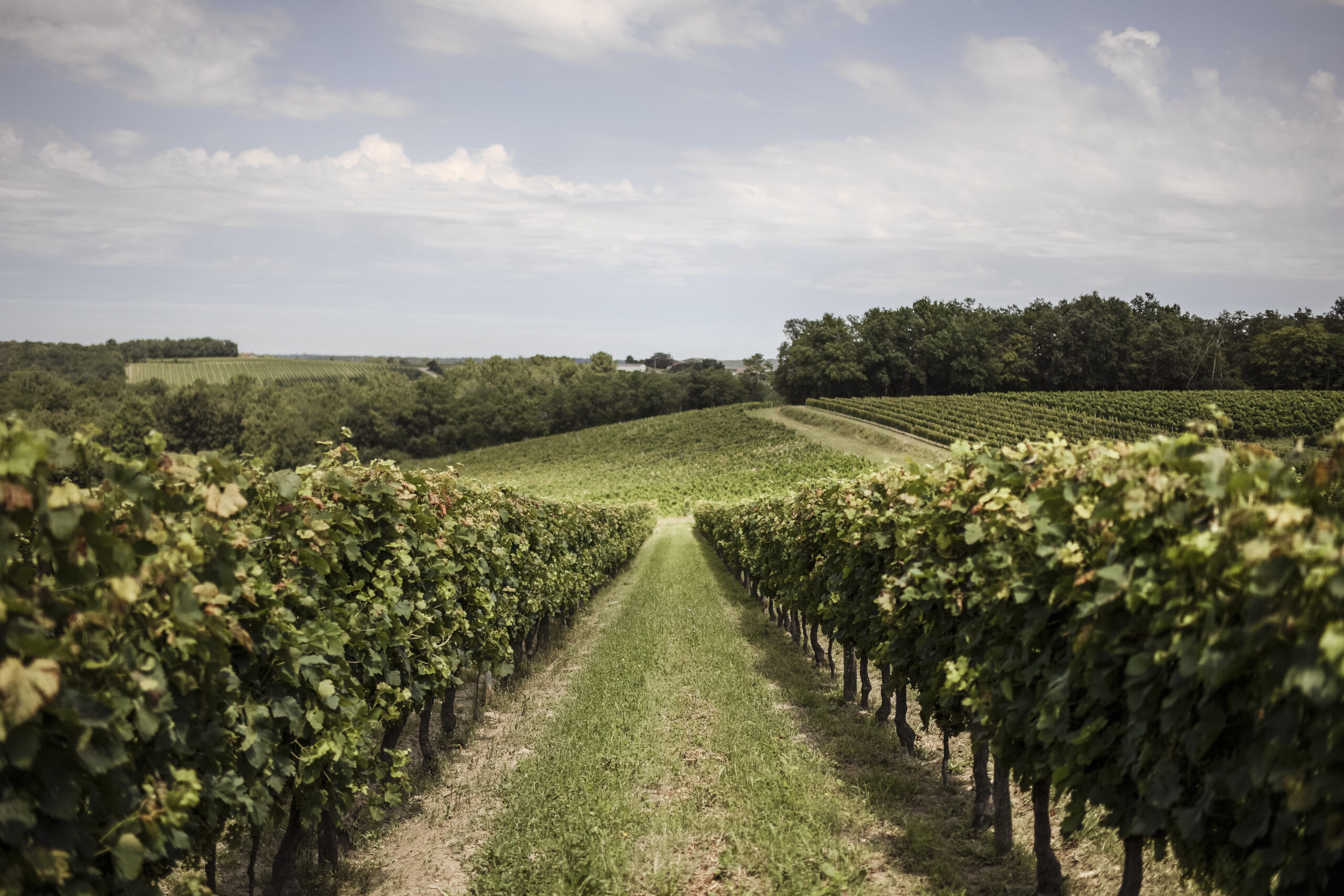 Château de Cranne Côté Sud Gironde